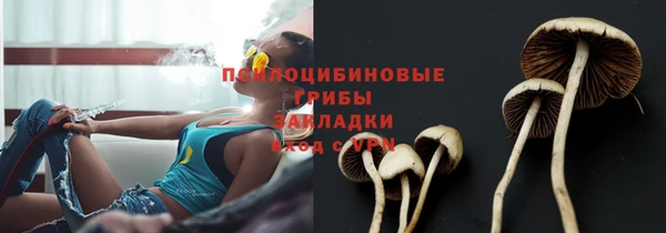 mix Абинск