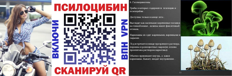 Псилоцибиновые грибы Cubensis  МЕГА ссылки  Болотное 